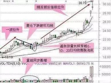 最新港口芝麻行情,最新港口芝麻行情深度解析