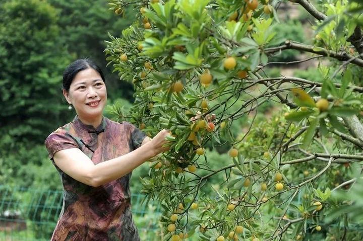 商丘虞城昨天新闻最新,商丘虞城昨天新闻最新报道，城市动态与社会发展综述