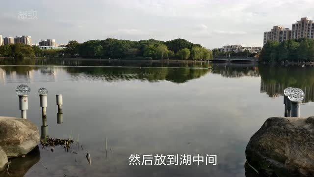 兖州最新的钓鱼地点,兖州最新钓鱼地点，探索城市中的垂钓天堂