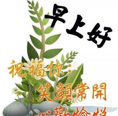 大家早上好最新图片,大家早上好！最新图片分享与感悟