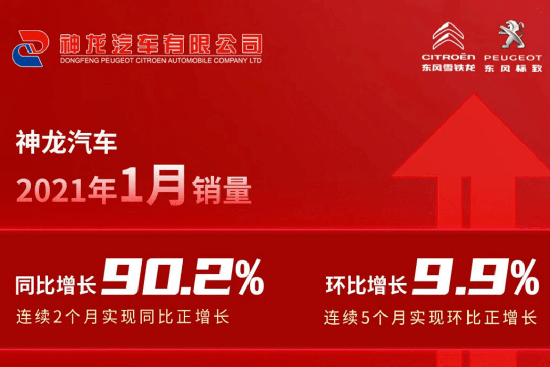 2024新奥资料免费精准051,探索未来，2024新奥资料免费精准获取之道（051）