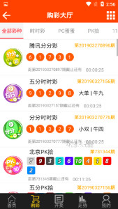 王中王493333中特1肖,王中王493333中特1肖，探索与解析