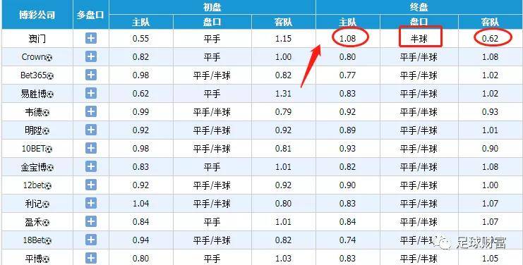 马不停蹄 第5页