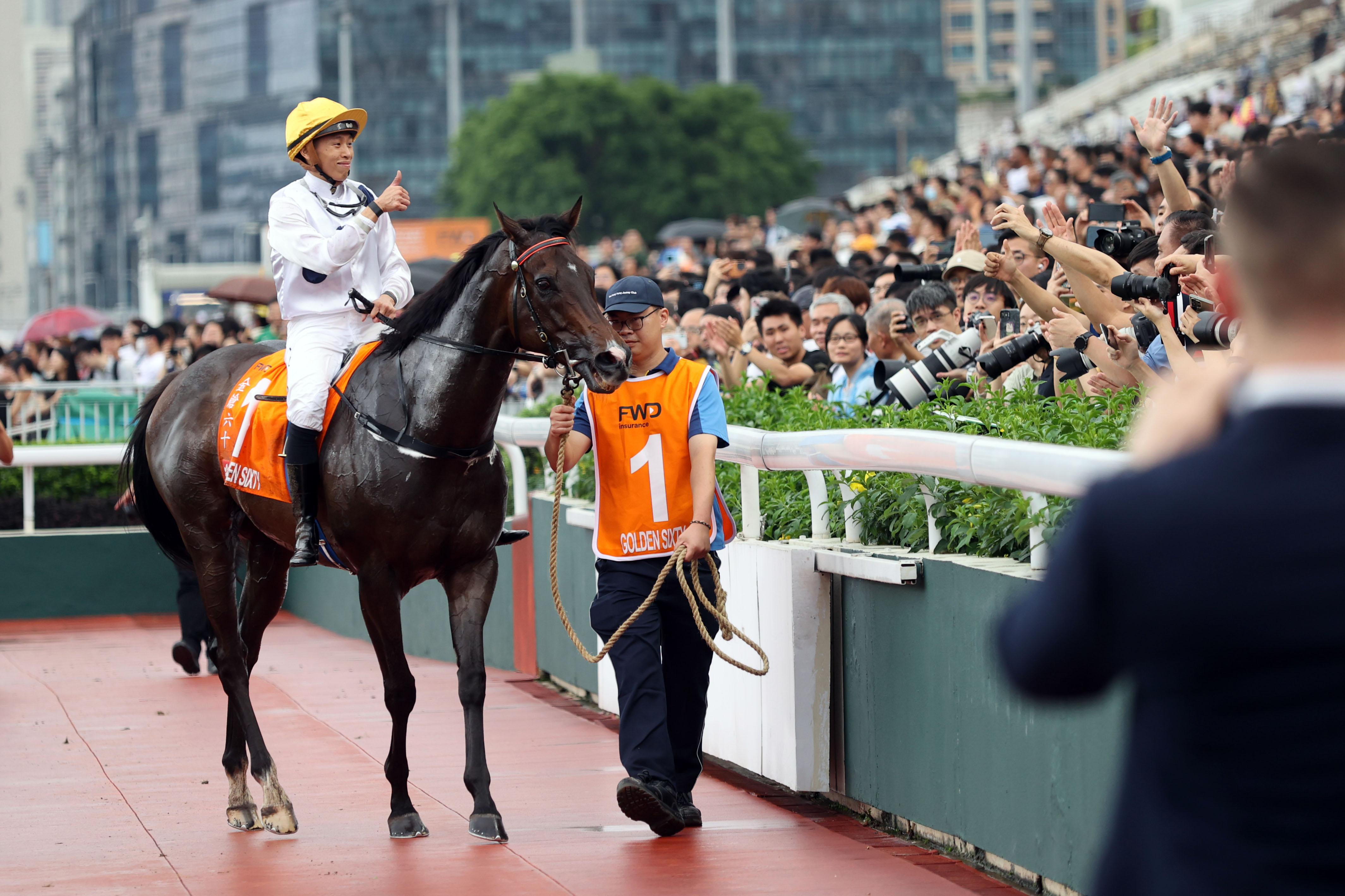 2024香港赛马全年免费资料,探索香港赛马，2024全年免费资料的深度解析