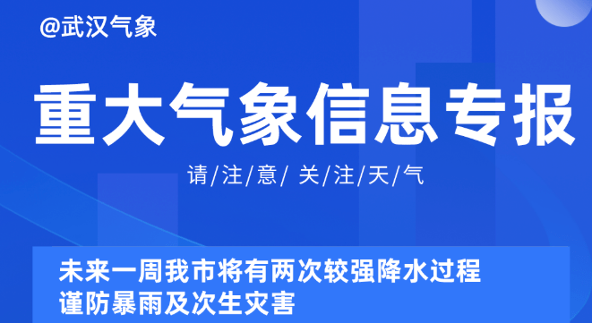 2024新奥精准正版资料,探索未来，揭秘2024新奥精准正版资料的价值与影响