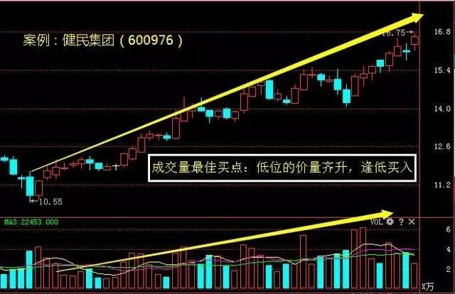 香港今晚开特马+开奖结果66期,香港今晚特马开奖及第66期开奖结果探析