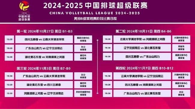 新澳2025年精准资料,新澳2025年精准资料概览