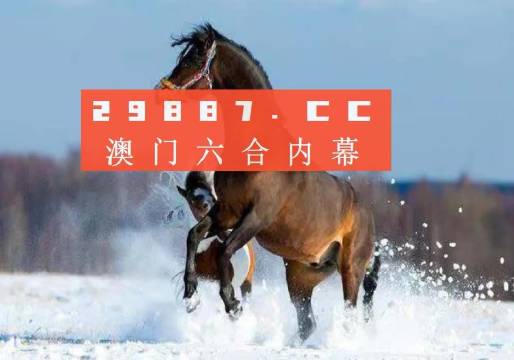 2023澳门正版全年免费资料,澳门正版全年免费资料，探索与启示