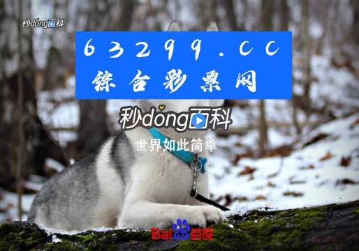 77778888管家婆必开一肖,探索数字奥秘，77778888管家婆必开一肖