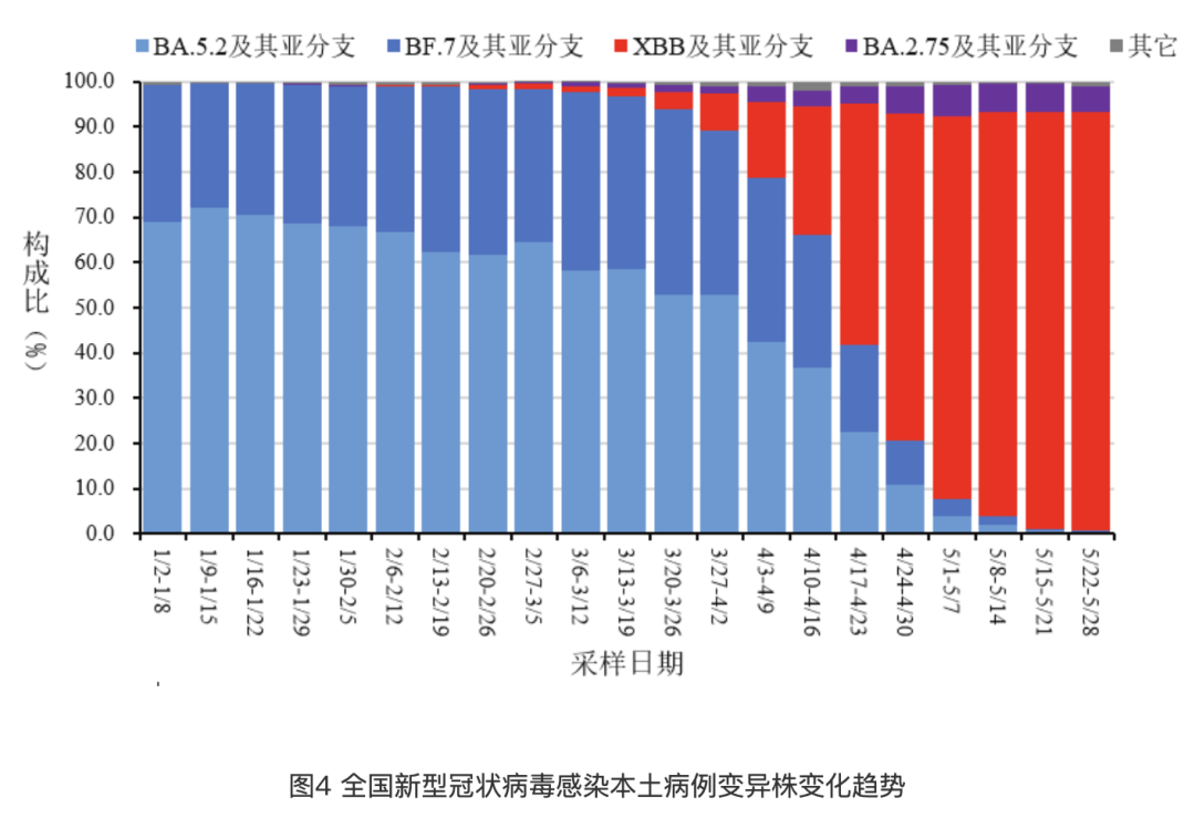 新澳门彩出号综合走势图看331斯,新澳门彩出号综合走势图，探索331斯现象的背后