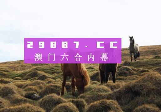 澳门最精准真正最精准龙门客栈087期 48-29-41-22-10-14T：28,澳门最精准真正最精准的龙门客栈087期，揭秘数字背后的秘密故事